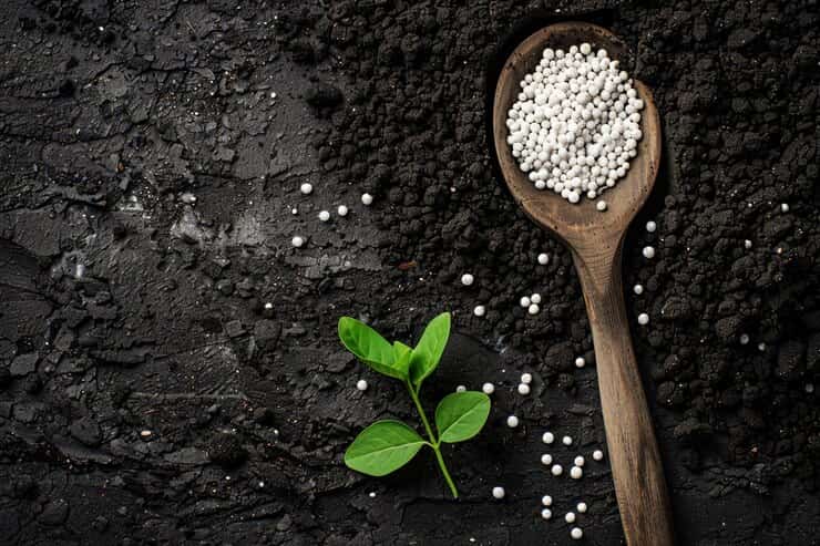 تصویر 2 از خرید کود سولفات آمونیوم برای تقویت درختان میوه + قیمت فروش استثنایی